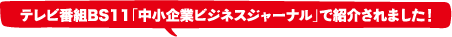 テレビ番組BS11「中小企業ビジネスジャーナル」で紹介されました！